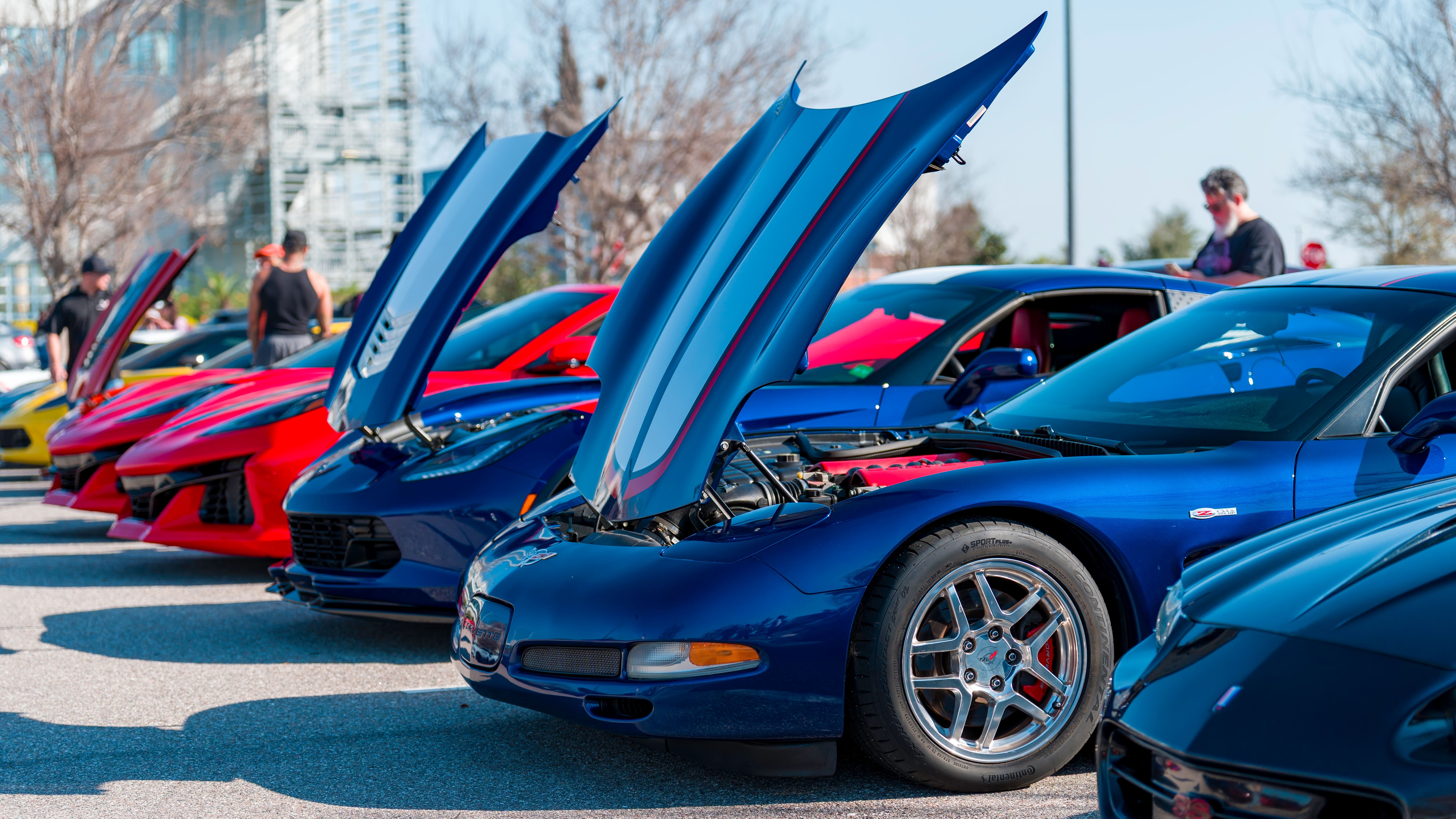 Lineup of European sports cars at a private shoot